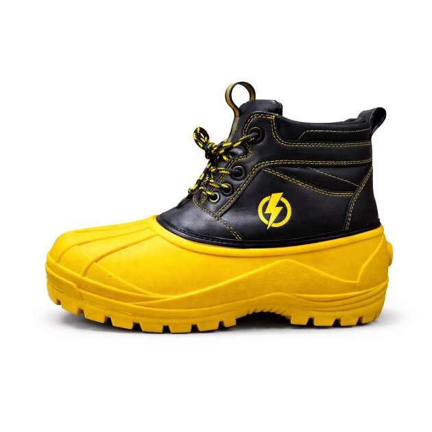 Accura DI - Electric, HV